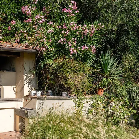 La Piella Di Orlando Holiday home